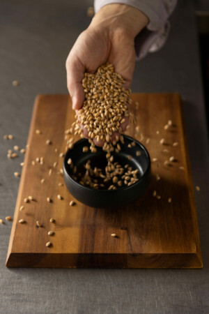 Gasthaus Hummel 090323 0393