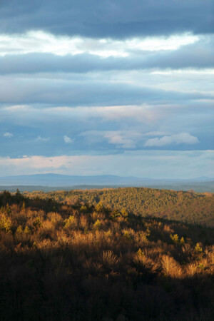 Gasthaus Hummel 090323 1359