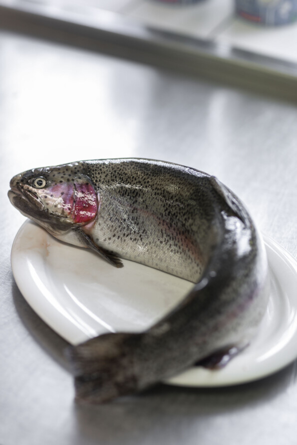 Gasthaus Hummel 090323 0217