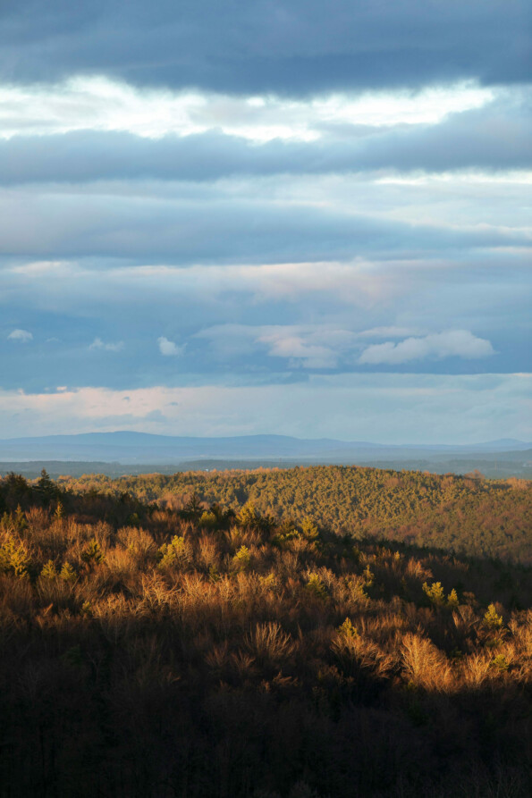 Gasthaus Hummel 090323 1359